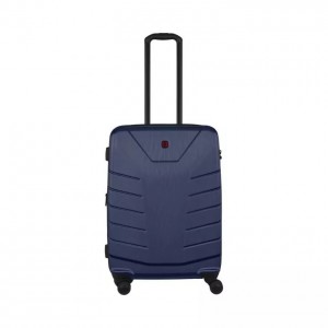 610851_ PEGASUS DC HS BLUE MEDIUM
