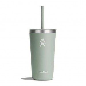 T20PS374_20 OZ ALL AROUND TUMBLER STRAW LID-AGAVE