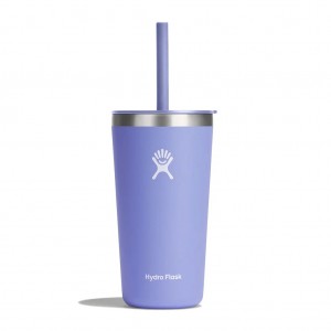 T20PS474_20 OZ ALL AROUND TUMBLER STRAW LID-LUPINE